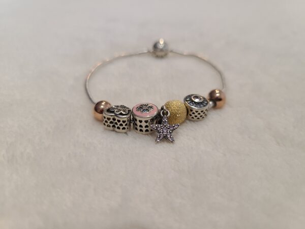 Ocean Charm Silver Bracelet